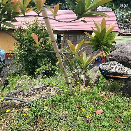 Forest Villa Olive Futo Ngoại thất bức ảnh