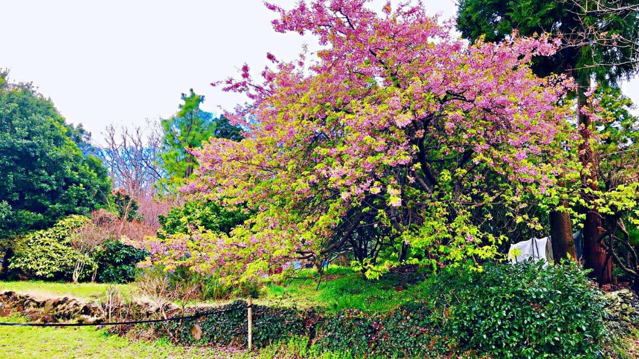Forest Villa Olive Futo Ngoại thất bức ảnh